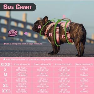 Pink Dog Harness L